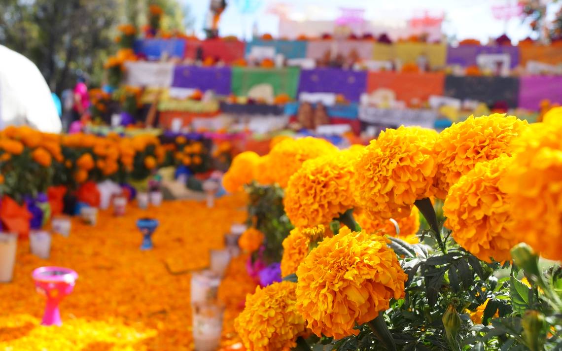 Flor de cempasúchil: ¿Por qué se coloca en la ofrenda de Día de Muertos? -  El Sol de Puebla | Noticias Locales, Policiacas, sobre México, Puebla y el  Mundo