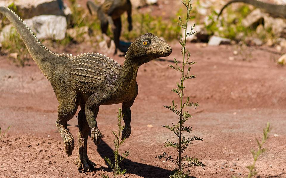 Dinosauroide: así se vería un dinosaurio si no se hubieran extinguido - El  Sol de Puebla | Noticias Locales, Policiacas, sobre México, Puebla y el  Mundo