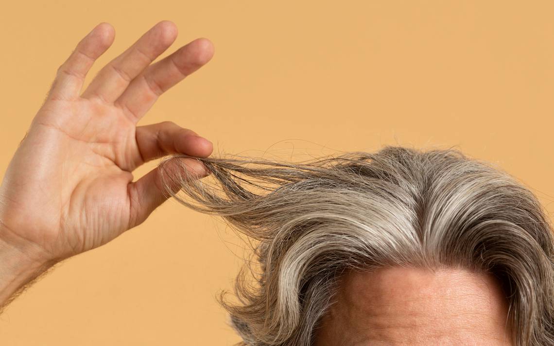 Can stress cause you gray hair?  This says science – El Sol de Puebla