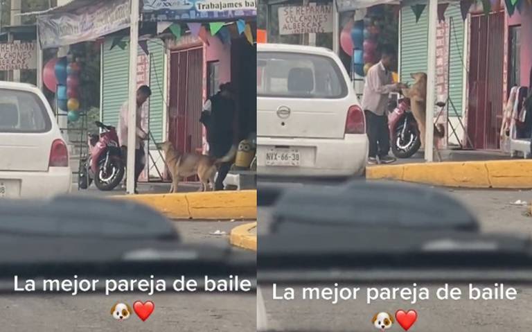 Hombre baila cumbias con su perro y se hace viral - El Sol de Puebla |  Noticias Locales, Policiacas, sobre México, Puebla y el Mundo