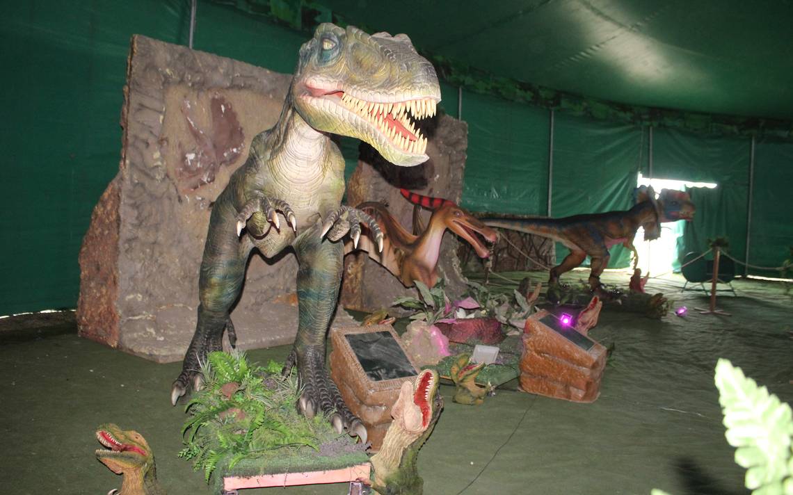 Viaje al pasado! Llegan a Puebla los dinosaurios con una mezcla de circo y  teatro - El Sol de Puebla | Noticias Locales, Policiacas, sobre México,  Puebla y el Mundo