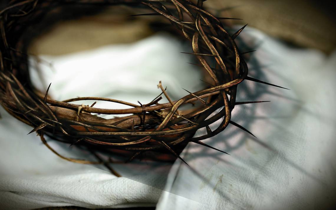La corona de espinas de Jesús retoma vida…