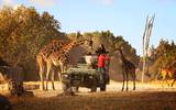 africam safari historia